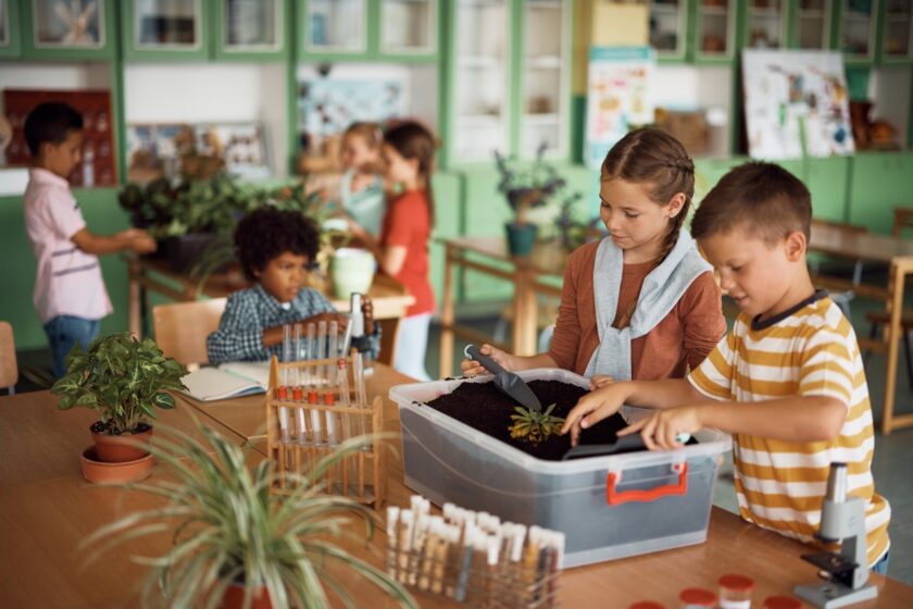 Plant-and-botany-activities-at-elementary-school.